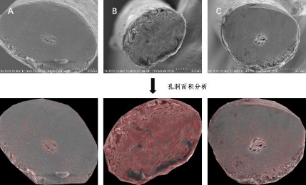 图片包含 圆圈

描述已自动生成