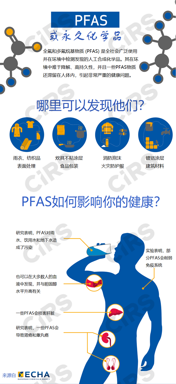 PFAS,ECHA,PFAS全氟化物,REACH,风险评估,新污染物清单