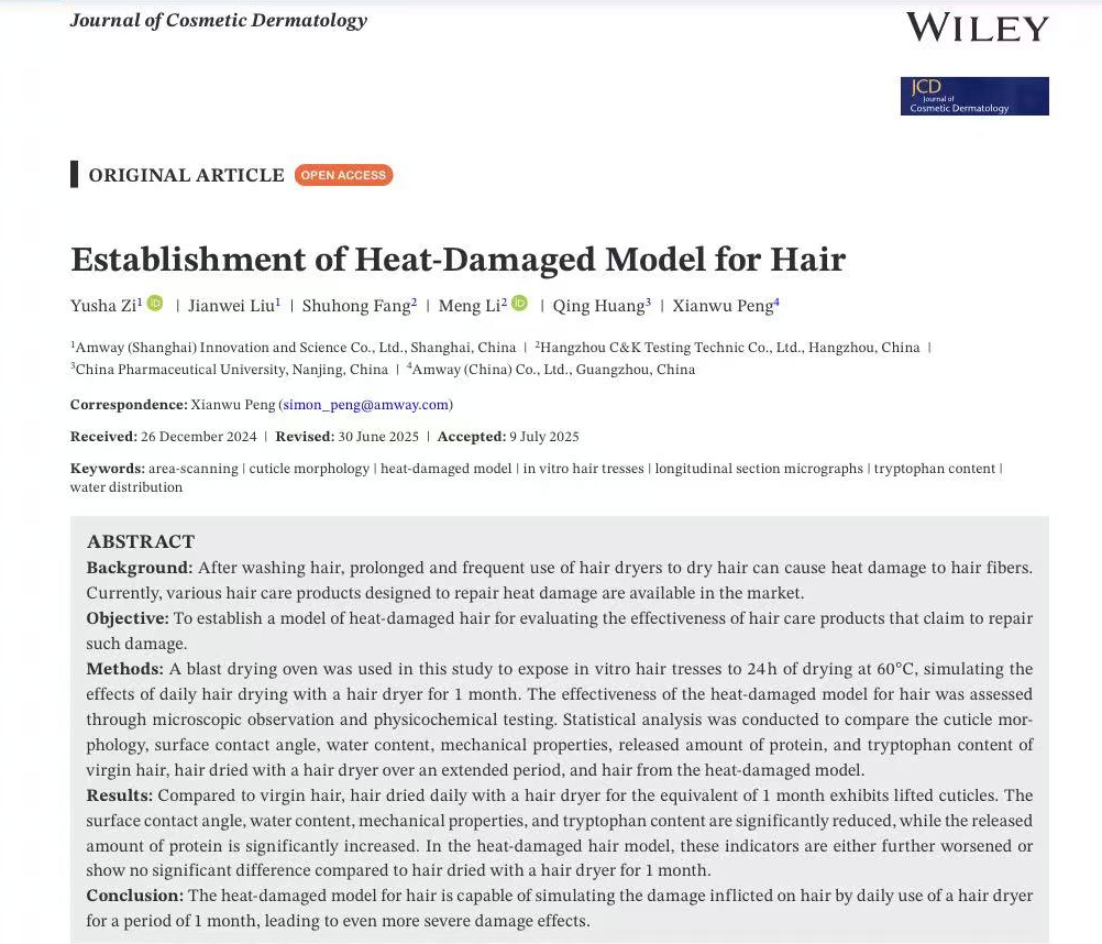 Cosmetic,Hair,Heated Damage,Model,In-vitro