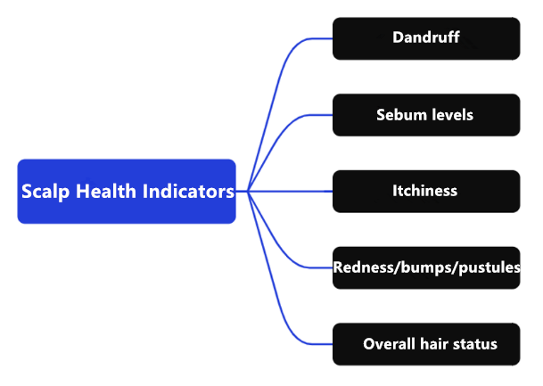 Scalp,health,Cosmetc,Efficacy,Evaluation